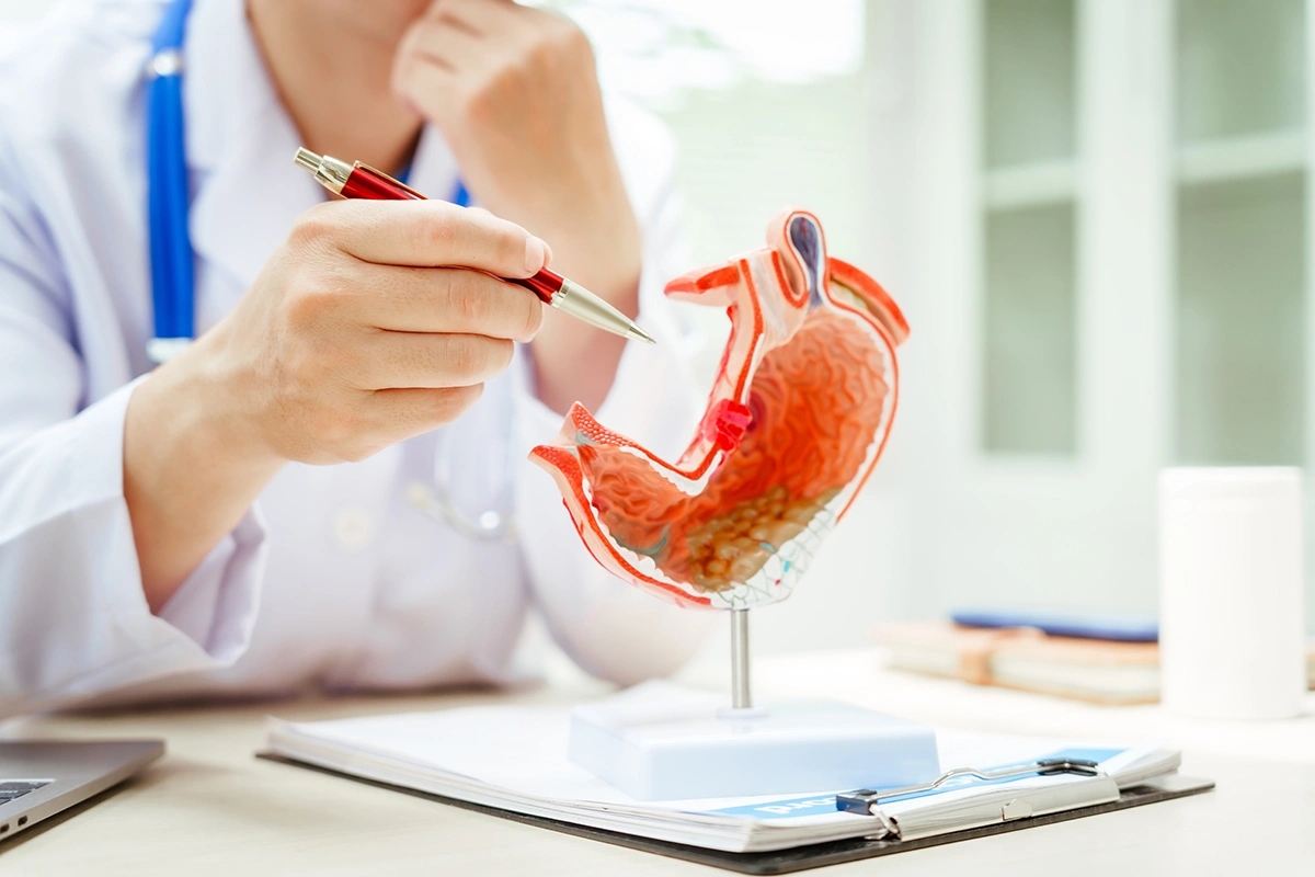 A doctor referring to a model in a consultation for acid reflux